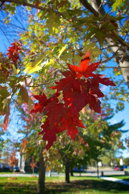 Ten on ten - octobre