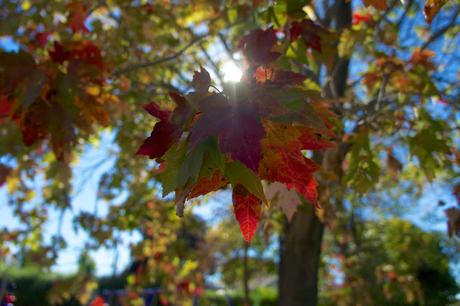 Ten on ten - octobre