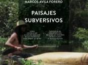 Exposition Paisajes Subversivos Marcos Avila Forero CAIRN Digne