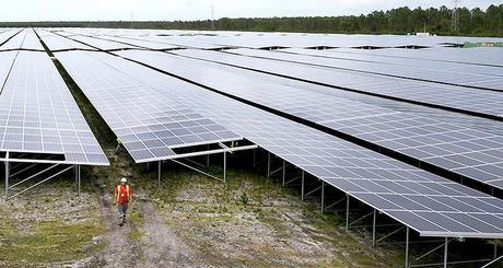 Neoen s’apprête inaugurer Cestas, Bordeaux, grande centrale solaire d’Europe.