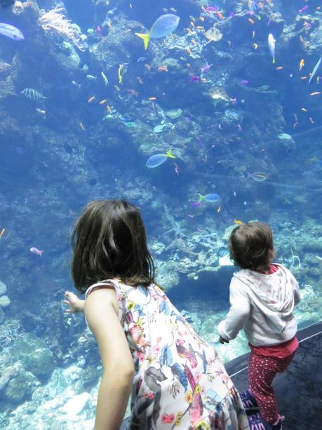 Les USA nature en famille: sur la côte ouest