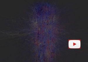 CERVEAU: Ils reconstituent une tranche de néocortex numérique – Cell