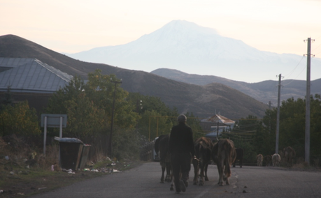 Capture d’écran 2015-10-12 à 07.37.48 Capture d’écran 2015-10-12 à 07.37.48