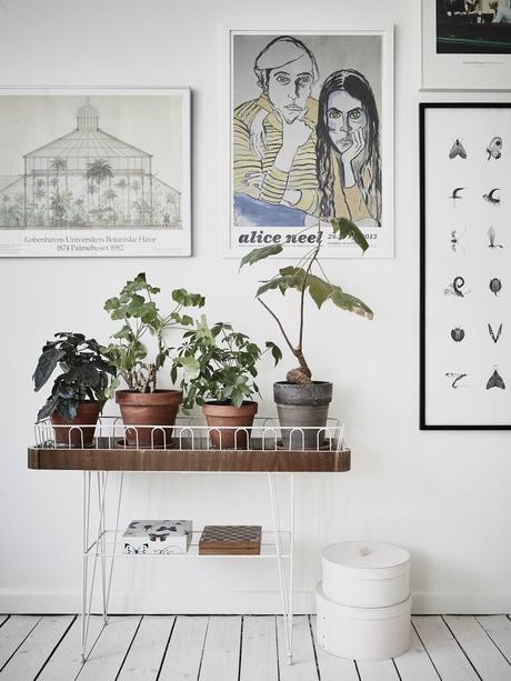 Focus sur la décoration murale d’inspiration végétale