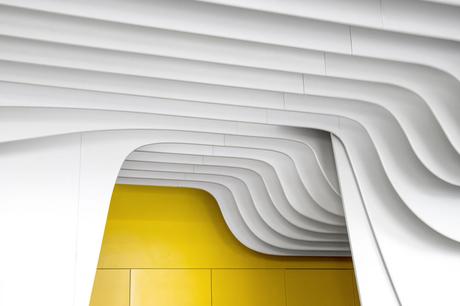 Netlooks boutique lunetterie par Antoine Lesur et Marc Venot