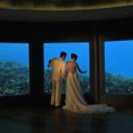 EVASION : Per Aquum Niyama