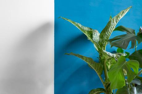 DIY_porte_plante_atelier_de_curiosite_le_bon_coin (39 sur 14)