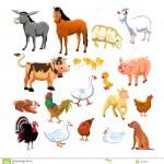 illustration animaux de la ferme