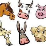 illustration animaux de la ferme