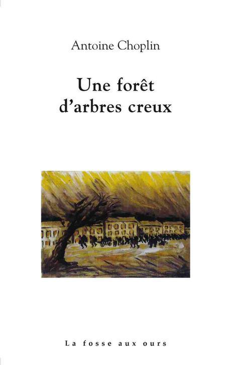 Une forêt d’arbres creux