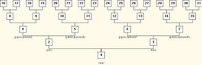 Liste (Sosa-Stradonitz) génération 11 à 13