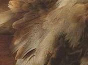 Suprême canard Vert salade mâche pommes noix