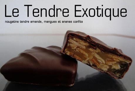 Chocolats fins : ballotin d'hiver 2015