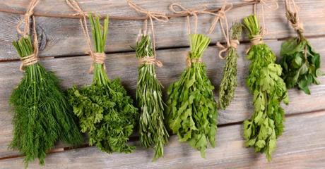 Peut-on congeler ses herbes aromatiques ?