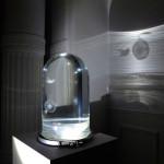 ART : The Darwin Tank (100% BELGIAN)