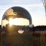 ART : The Darwin Tank (100% BELGIAN)