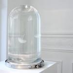 ART : The Darwin Tank (100% BELGIAN)