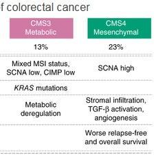 CANCER COLORECTAL: 4 sous-types pour des traitements mieux personnalisés – Nature Medicine