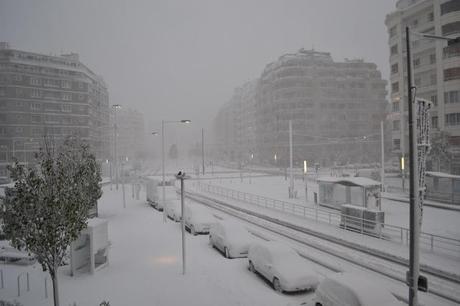 SCIENCES & NATURE alt=