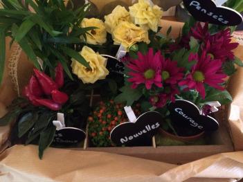 Lifestyle : Mes plantations