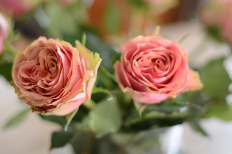 Le bonheur au travail Roses anciennes 3