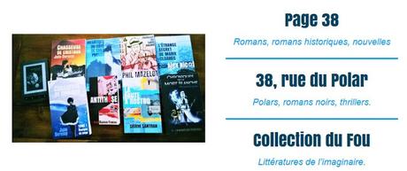 Les dessous de l'Edition : Ma Ptite Interview avec Anita Berchenko , fondatrice des Edtions du 38