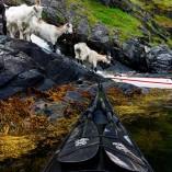 Découvrez la Norvège en Kayak