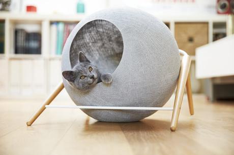 Crowdfunding : Mobilier à chat Meyou Paris