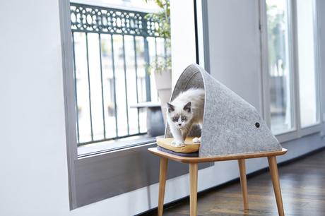 Crowdfunding : Mobilier à chat Meyou Paris