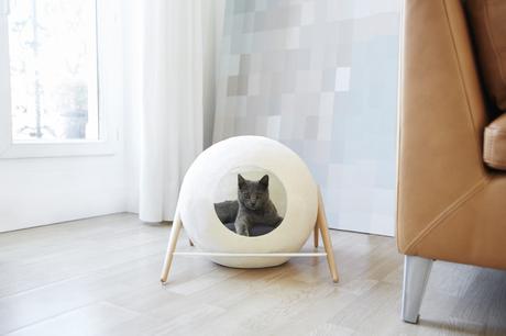 Crowdfunding : Mobilier à chat Meyou Paris