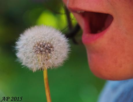 Jeux d'enfance / Chilhood Games