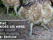 C'est chouette Fiac hors murs