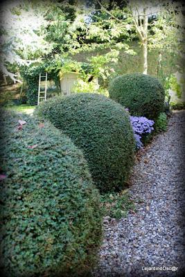 Le jardin Nord...