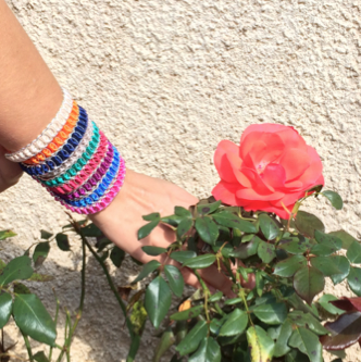 Barbara Chollet, un lien entre l’Angleterre et la France Barbara Chollet, un lien entre l’Angleterre et la France