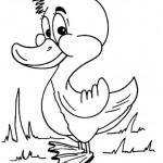 dessin de canard