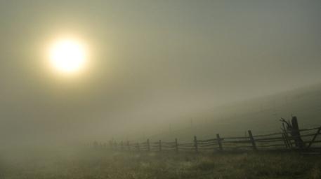 Afficher l'image d'origine