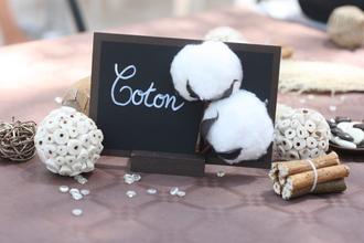 Déco mariage réutilisée dans le jardin