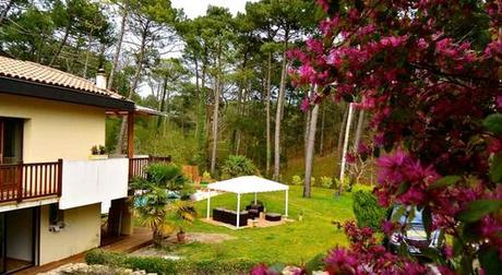 Vous organisez votre mariage ?