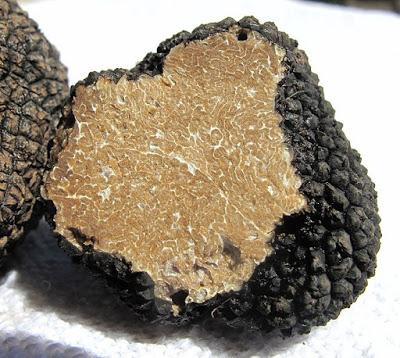 La production de truffes diminue à cause du changement climatique
