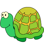 illustration de tortue