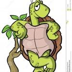 illustration de tortue