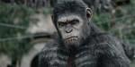 Planet Apes première photo tournage