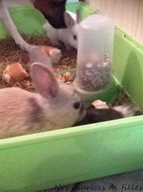 Ma semaine en images #37