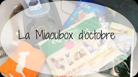 La Miaoubox d'octobre