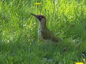Calendrier lunaire novembre décembre 2015