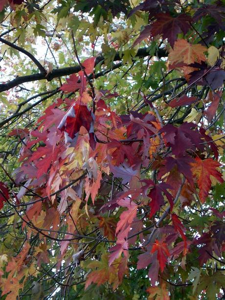 des paroles qui fuient