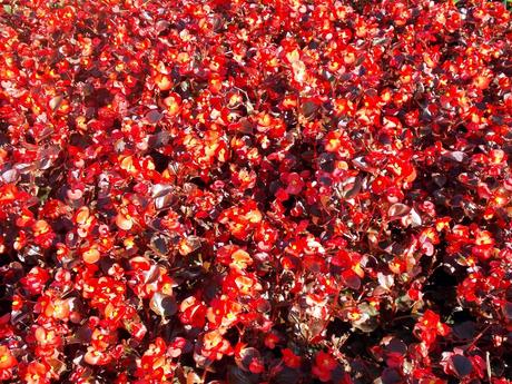 des paroles qui fuient