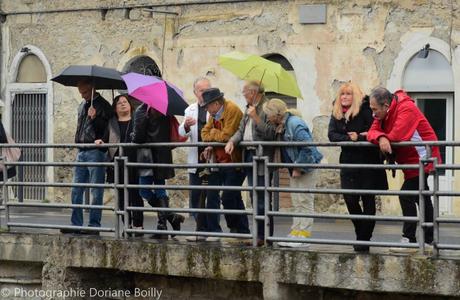 12132562_909000769147852_7079036500100066211_o