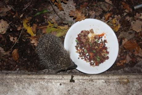 herisson veneux 19 oct 2015 010 (2).jpg