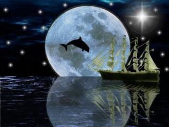 Semaine du 12 au 18 Octobre2015